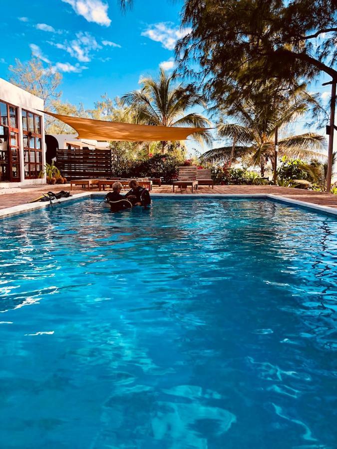 Liquid Dive Adventures Bed and Breakfast Praia do Praia do Tofo Exteriör bild