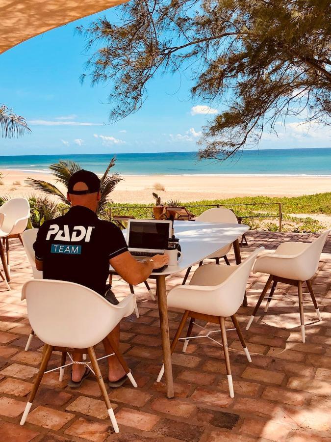 Liquid Dive Adventures Bed and Breakfast Praia do Praia do Tofo Exteriör bild