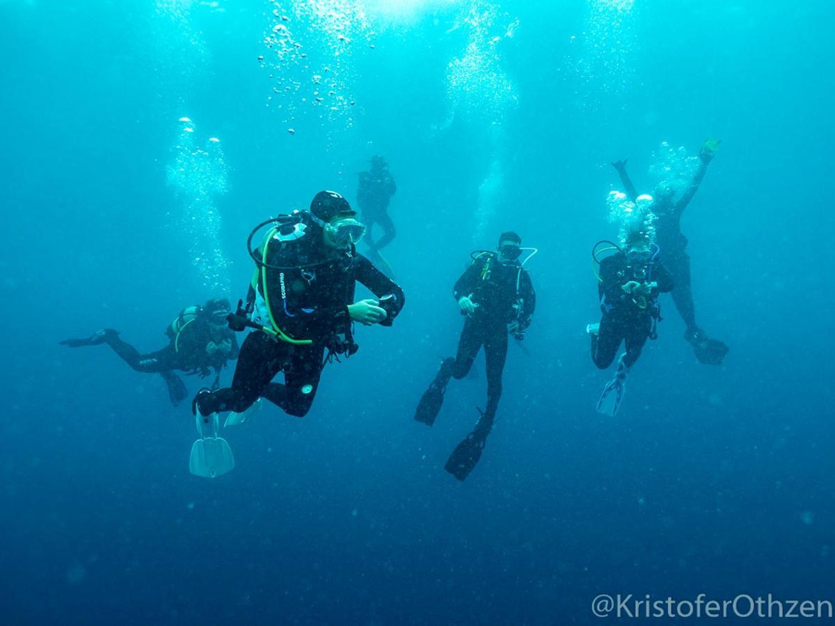 Liquid Dive Adventures Bed and Breakfast Praia do Praia do Tofo Exteriör bild