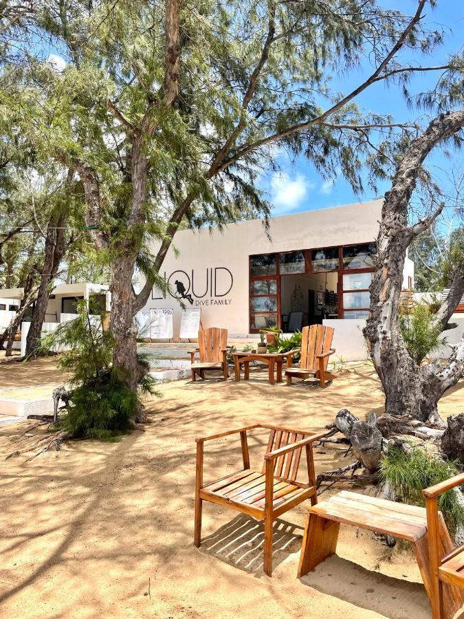 Liquid Dive Adventures Bed and Breakfast Praia do Praia do Tofo Exteriör bild