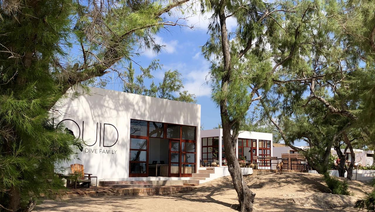 Liquid Dive Adventures Bed and Breakfast Praia do Praia do Tofo Exteriör bild