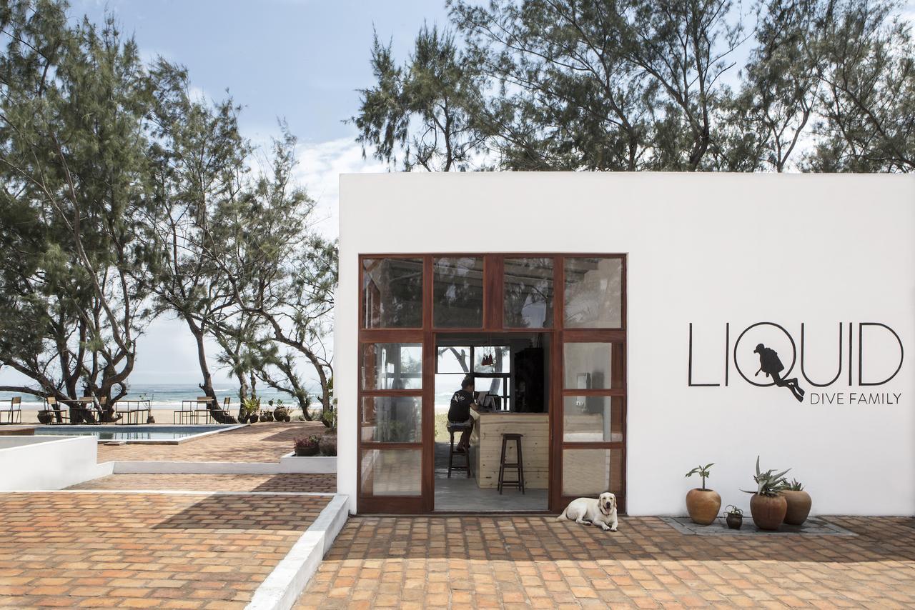 Liquid Dive Adventures Bed and Breakfast Praia do Praia do Tofo Exteriör bild