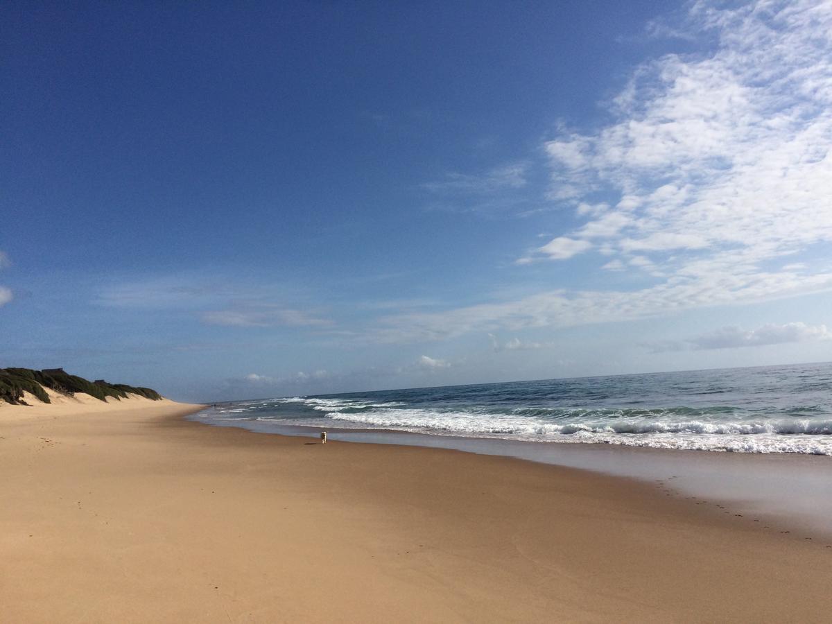 Liquid Dive Adventures Bed and Breakfast Praia do Praia do Tofo Exteriör bild